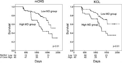 Association between white matter alterations on diffusion tensor imaging and incidence of frailty in older adults with cardiometabolic diseases